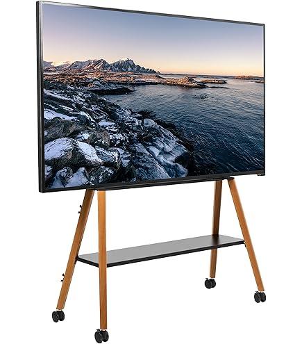 Amazon.com: TCL NXTVISION TV Movable Floor Stand for 55”-85